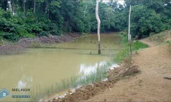 Imagem 2: Sítio 82 Alqueires Machadinho D`Oeste