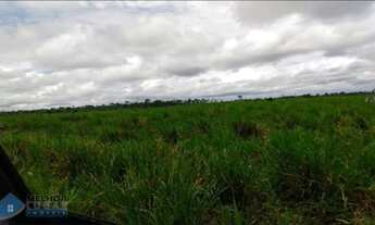 Imagem 3: Fazenda 140 alqueires Machadinho D'oeste