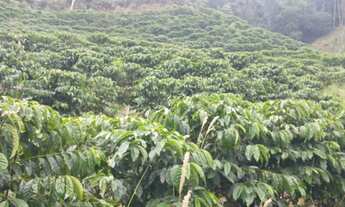 Imagem 5: Sitio Viana 6 hequitares