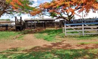 Imagem 2: Chácara de 09 alqueires em Goianápolis-Go