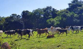 Imagem 5: Terrenos Financiados Próximos ao Rio Pará na Região de Divinópolis