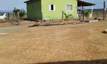 Imagem 4: Fazenda Santa Rita Trielato MT