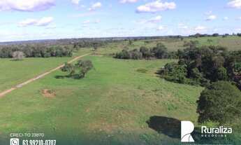 Imagem 6: Fazenda com dupla aptidão na região do Vale do Araguaia-TO