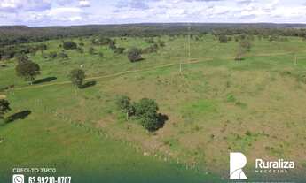 Imagem 4: Fazenda com dupla aptidão na região do Vale do Araguaia-TO