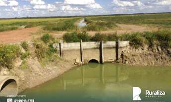 Imagem 15: Fazenda de projeto irrigado por controle de lençol freático na Lagoa da Confunsão - TO