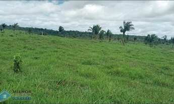 Imagem 3: Sítio 82 Alqueires Machadinho D`Oeste