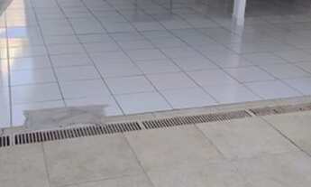 Imagem 3: Terreiro Casa com 4 dormitórios