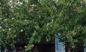 Imagem 2: Vendo Franquia Sodéli Sorvetes