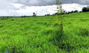 Imagem 6: Fazenda 210 alqueires Machadinho D' Oeste