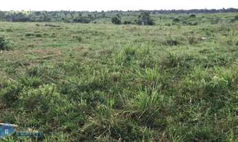 Imagem 3: Fazenda 768 Alqueires Itapuã do Oeste