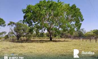 Imagem 13: Fazenda no Vale do Araguaia -TO para exploração agrícola e pecuária