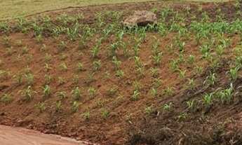 Imagem 3: Lindo terreno de 30 mil m2 em Valsugana, para você realizar o sonho da sua casa de campo