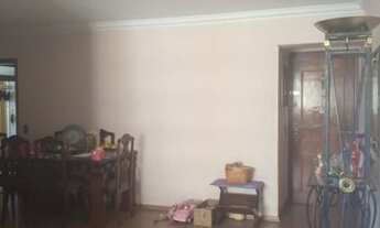 Imagem 5: SãO PAULO - Padrão - ÁGUA BRANCA