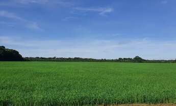 Imagem 2: Fazenda 1.200 alqueires município de Humaitá