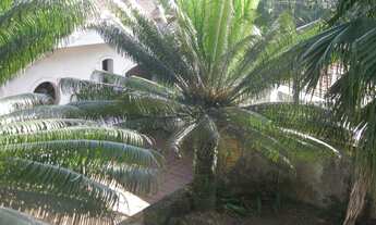 Imagem 3: CASA PARA REFORMA TOTAL EM UM TERRENO DE 536M2 NO CITY BOAÇAVA - ALTO DE PINHEIROS