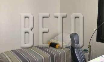 Imagem 4: SãO PAULO - Padrão - Moema