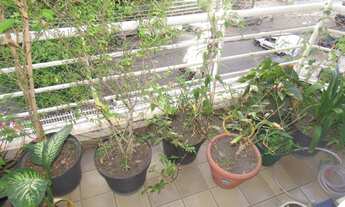 Imagem 5: 185M2 4 DORMS. 03 SUÍTES, 03 VAGAS NA MELHOR LOCALIZAÇÃO