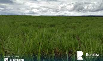 Imagem 2: Ótima oportunidade de fazenda para agricultura com potencial de irrigação em Tupiratins