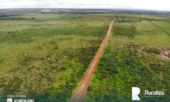 Imagem 2: Fazenda para exploração agropecuária situada em Santa Maria do Tocantins-TO