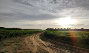 Imagem 7: Fazenda 1.200 alqueires município de Humaitá