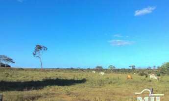 Imagem 2: Fazenda em Araguacema-TO. > 300 Alq. (1.452 Há