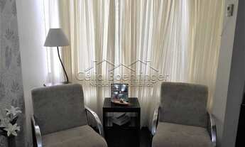 Imagem 4: SãO PAULO - Padrão - Mirandópolis