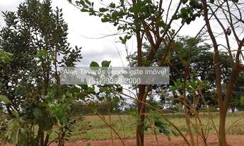 Imagem 2: Terreno Maravilhoso de 20.000m² com Lagoa e Riacho. 175.002 + Parcelas