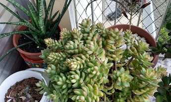 Imagem 3: APARTAMENTO RESIDENCIAL em SÃO PAULO - SP, JARDIM DA GLÓRIA