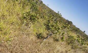 Imagem 6: Oportunidade vendo excelentes chacara com 3.4 hectares bem localizada
