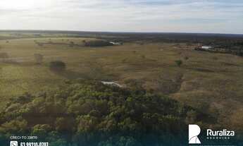 Imagem 2: Fazenda bem estruturada para grandes investidores com 4.781,92 hectares no Vale do Araguai