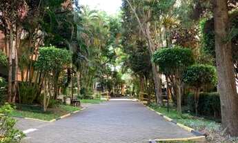 Imagem 3: Apto 73m² 3 dormitórios no Horto do Ipê Zona Sul