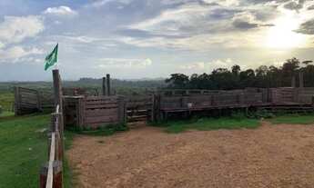 Imagem 7: 618 Alq. (2.990 Há). Pacajá - PA. ( Pecuária - Documentação Ok