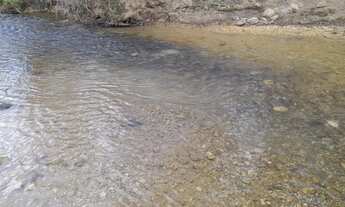 Imagem 6: Vende-se 120 alqueires em Niquelandia-Go