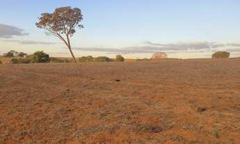 Imagem: Fazenda/Sítio a venda com 15alq. 72,6Ha
