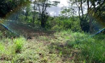 Imagem 2: Terreno com 800 metros no Centro de Domingos Martins