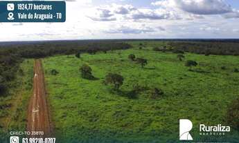 Imagem: Fazenda com dupla aptidão na região do