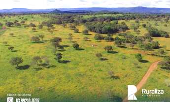 Imagem 2: Fazenda com dupla aptidão na região de Paraíso do Tocantins - TO