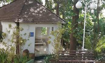 Imagem 7: Apartamento para Aluguel - Bosque da Saúde, 4 Quartos, 300 m2