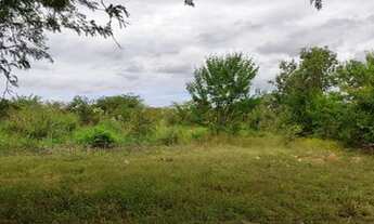 Imagem 7: Fazenda de 830 Hectares, Toda Plana, Solo Argiloso, Margeando 2,5 km Rio São Francisco - J