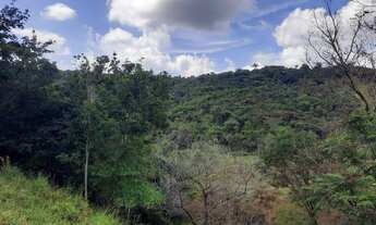 Imagem 3: Terreno em Tavares com 13,69 hectares