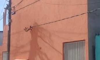 Imagem 4: Alugo Quitinete em Felipe Camarão