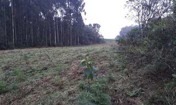 Imagem: Chácara 29.342 m2 a 5 km Campo Largo