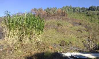 Imagem: Chácara a venda