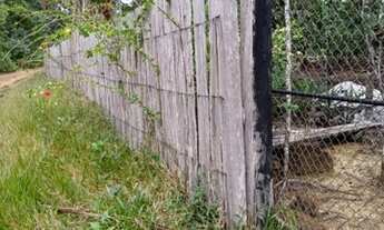 Imagem: Sítio a venda ou troca com volta. 150x1000