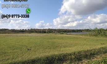 Imagem 2: Lotes Parcelados próximo ao centro de Macaíba