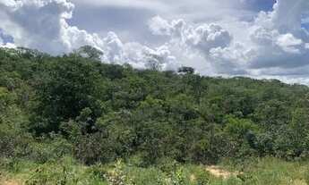 Imagem 4: Chácara 1700m², R$50mil, Energia, Arborizada, 600m Rod, 4km Aragoiânia