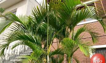 Imagem 6: São Paulo - Casa Padrão - Vila Formosa