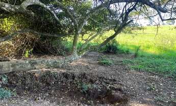 Imagem 6: Vendo chácara Chácara com venda por R$400.000