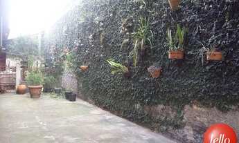 Imagem 4: São Paulo - Casa Padrão - Vila Carrão