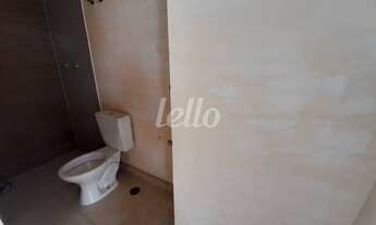 Imagem 7: Santo André - Apartamento Padrão - Campestre